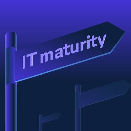 Signpost labelled “IT maturity” pointing forward on a dark blue background. 